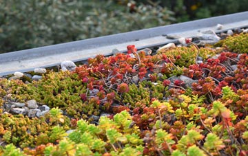 the cost of Flushdyke green roof installation