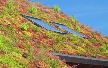Flushdyke living roof systems